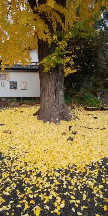 平野神社(京都府)