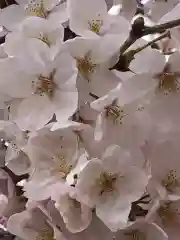 荒井神社の自然