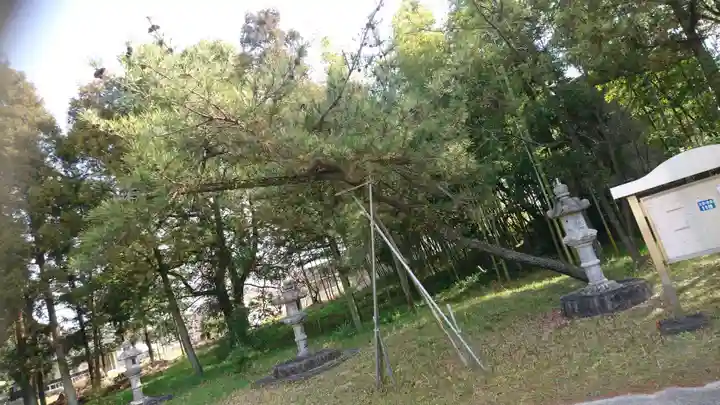 宇夫須奈神社(木曽川町)の自然