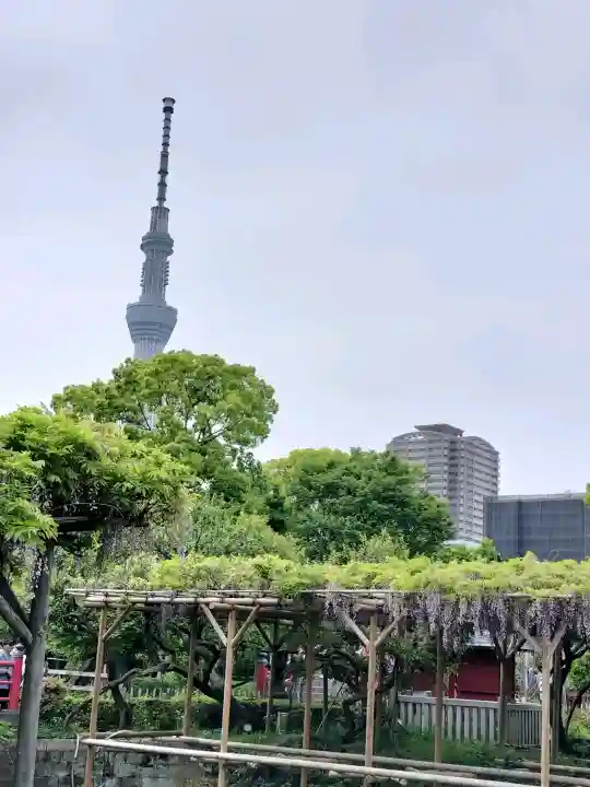 亀戸天神社の{uncategorized: "未分類", other: "その他", undefined: "問題あり", building: "その他建物", grave: "お墓", sacred_gate: "鳥居", guardian: "狛犬", statue: "像", buddha: "仏像", history: "歴史", nature: "自然", garden: "庭園", animal: "動物", pagoda: "塔", temizu: "手水舎", mountain_gate: "山門・神門", sanctuary: "本殿・本堂", subordinate: "末社・摂社", art: "芸術", scenery: "景色", jizo: "地蔵", ema: "絵馬", goshuin: "御朱印", omikuji: "おみくじ", items: "授与品その他", amulet: "お守り", goshuincho: "御朱印帳", eats: "食事", festival: "お祭り", votive_dance: "神楽", shichigosan: "七五三参", wedding: "結婚式", experience: "体験その他", initially: "初詣", around: "周辺", anti_infection: "感染症対策"}