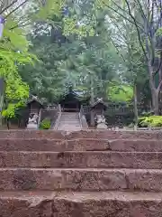 手長神社の建物その他