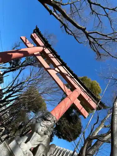 武蔵一宮氷川神社の{uncategorized: "未分類", other: "その他", undefined: "問題あり", building: "その他建物", grave: "お墓", sacred_gate: "鳥居", guardian: "狛犬", statue: "像", buddha: "仏像", history: "歴史", nature: "自然", garden: "庭園", animal: "動物", pagoda: "塔", temizu: "手水舎", mountain_gate: "山門・神門", sanctuary: "本殿・本堂", subordinate: "末社・摂社", art: "芸術", scenery: "景色", jizo: "地蔵", ema: "絵馬", goshuin: "御朱印", omikuji: "おみくじ", items: "授与品その他", amulet: "お守り", goshuincho: "御朱印帳", eats: "食事", festival: "お祭り", votive_dance: "神楽", shichigosan: "七五三参", wedding: "結婚式", experience: "体験その他", initially: "初詣", around: "周辺", anti_infection: "感染症対策"}