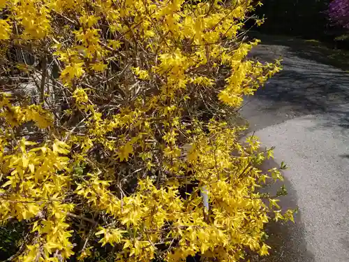 萩日吉神社の自然
