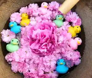 真言宗 善通寺派 薬王寺の手水舎(2022年04月17日(日) 10時21分17秒投稿)