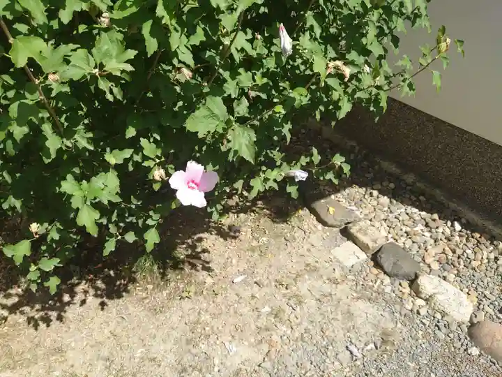 天龍寺(京都府)