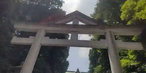 日枝神社(東京都)