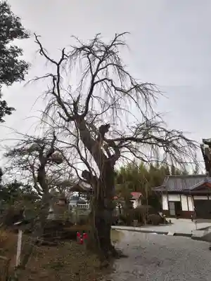 円通寺(福島県)