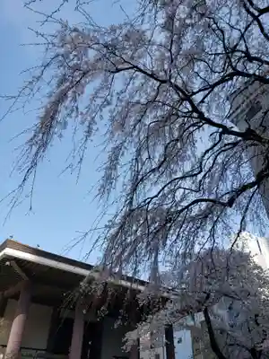 常圓寺の本殿・本堂