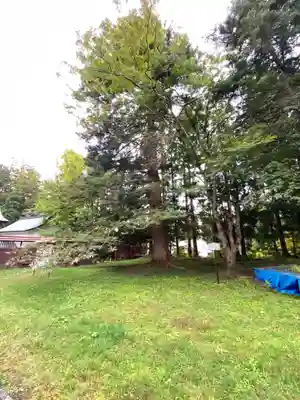 高照神社の周辺