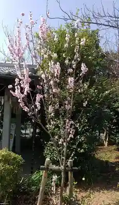 比佐豆知神社(三重県)