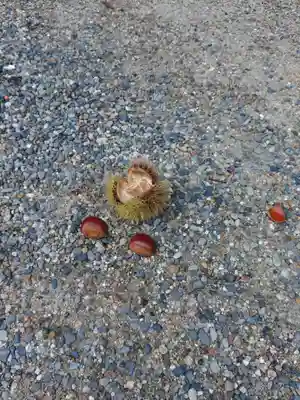 四條畷神社(大阪府)