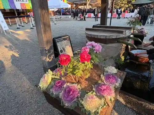 深大寺の{uncategorized: "未分類", other: "その他", undefined: "問題あり", building: "その他建物", grave: "お墓", sacred_gate: "鳥居", guardian: "狛犬", statue: "像", buddha: "仏像", history: "歴史", nature: "自然", garden: "庭園", animal: "動物", pagoda: "塔", temizu: "手水舎", mountain_gate: "山門・神門", sanctuary: "本殿・本堂", subordinate: "末社・摂社", art: "芸術", scenery: "景色", jizo: "地蔵", ema: "絵馬", goshuin: "御朱印", omikuji: "おみくじ", items: "授与品その他", amulet: "お守り", goshuincho: "御朱印帳", eats: "食事", festival: "お祭り", votive_dance: "神楽", shichigosan: "七五三参", wedding: "結婚式", experience: "体験その他", initially: "初詣", around: "周辺", anti_infection: "感染症対策"}