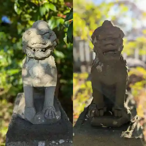 菊田神社の狛犬