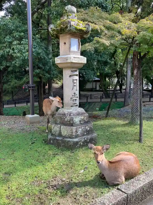 東大寺(奈良県)