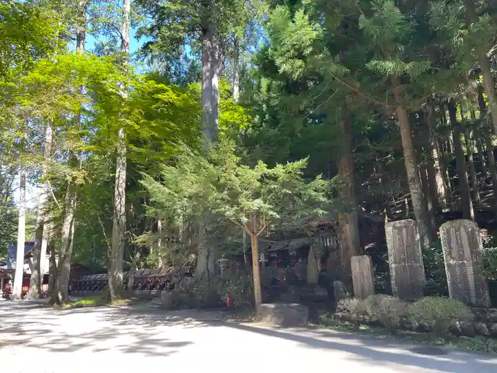 三峯神社(埼玉県)