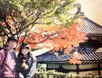 善峯寺(京都府)