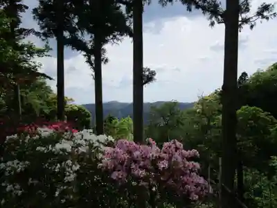正法寺(滋賀県)