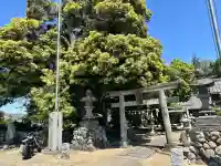 七社神社の{uncategorized: "未分類", other: "その他", undefined: "問題あり", building: "その他建物", grave: "お墓", sacred_gate: "鳥居", guardian: "狛犬", statue: "像", buddha: "仏像", history: "歴史", nature: "自然", garden: "庭園", animal: "動物", pagoda: "塔", temizu: "手水舎", mountain_gate: "山門・神門", sanctuary: "本殿・本堂", subordinate: "末社・摂社", art: "芸術", scenery: "景色", jizo: "地蔵", ema: "絵馬", goshuin: "御朱印", omikuji: "おみくじ", items: "授与品その他", amulet: "お守り", goshuincho: "御朱印帳", eats: "食事", festival: "お祭り", votive_dance: "神楽", shichigosan: "七五三参", wedding: "結婚式", experience: "体験その他", initially: "初詣", around: "周辺", anti_infection: "感染症対策"}