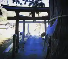 艮神社の鳥居