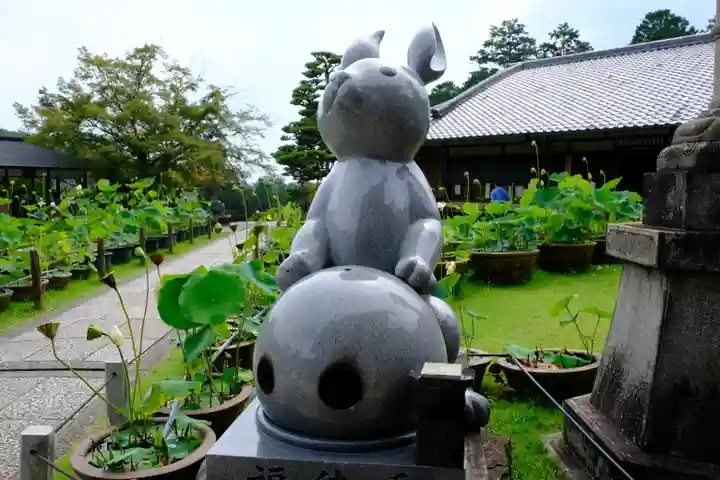 三室戸寺の狛犬