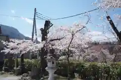 武甲山御嶽神社里宮の自然