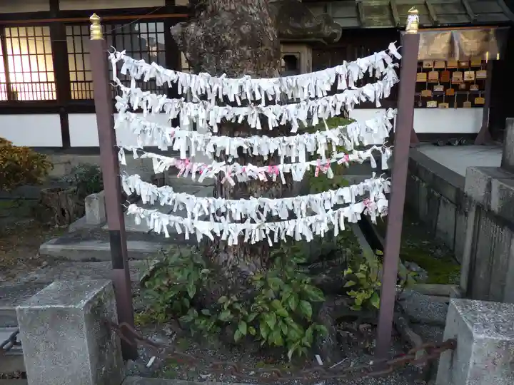 六孫王神社のおみくじ