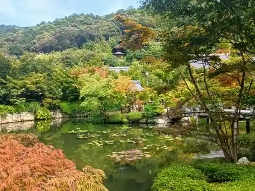 禅林寺（永観堂）(京都府)