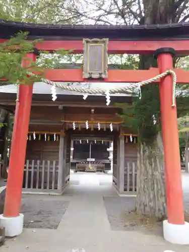 淺間神社（忍野八海）の鳥居