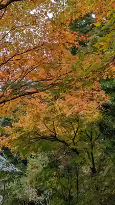 安楽寺(京都府)