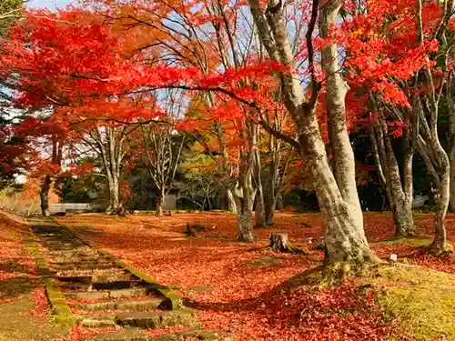 土津神社｜こどもと出世の神さまの景色