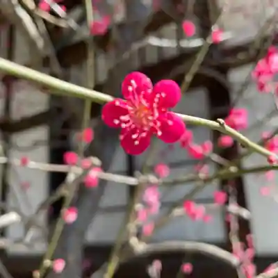 大國魂神社(東京都)