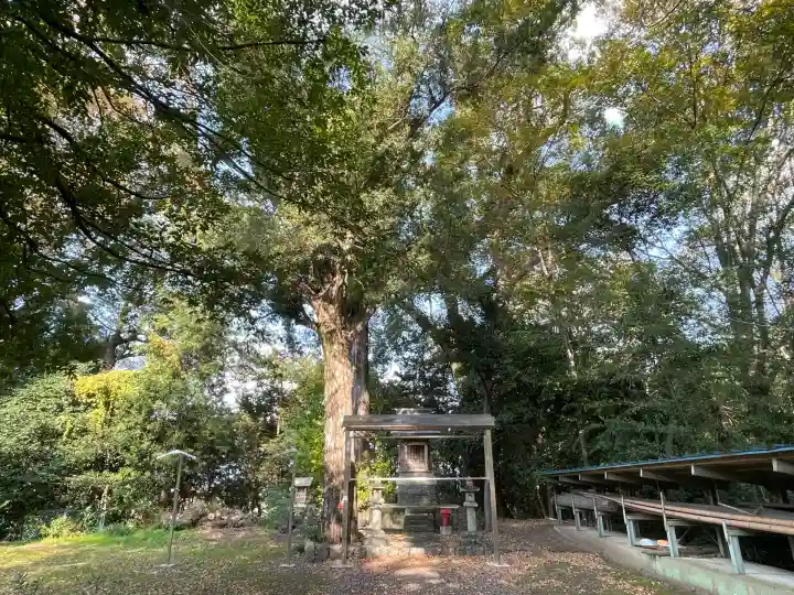 八幡神社(南濃町駒野)(岐阜県)