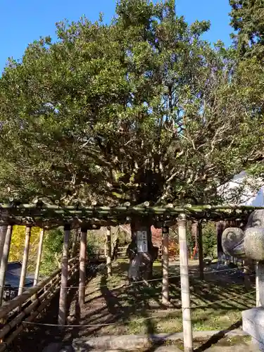 宝厳寺(滋賀県)