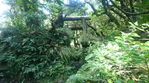 浅間神社の鳥居