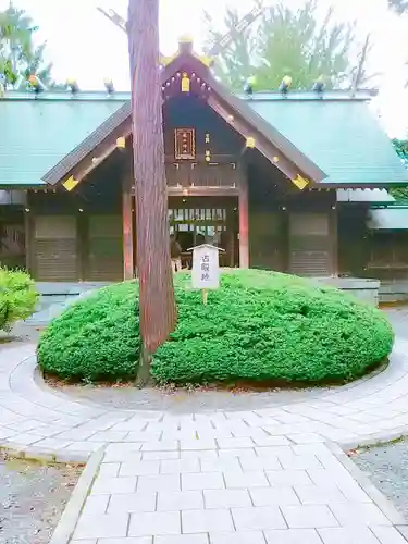 琴似神社の本殿