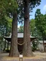 飯豊和気神社の自然