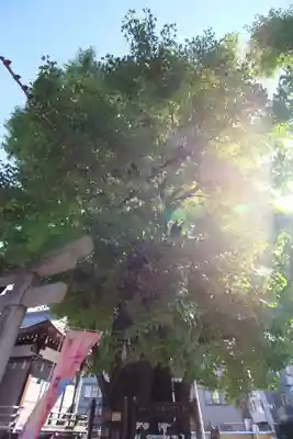 飛木稲荷神社(東京都)