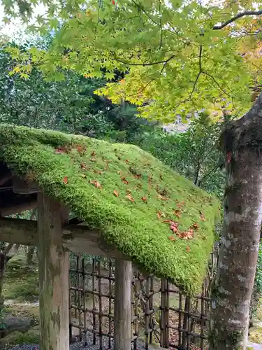寂光院(京都府)