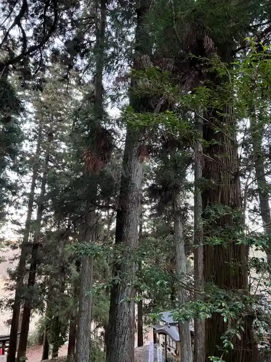 大宮温泉神社(栃木県)