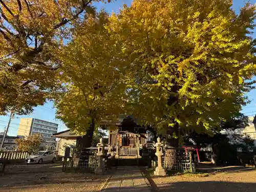 八幡橋八幡神社(神奈川県)