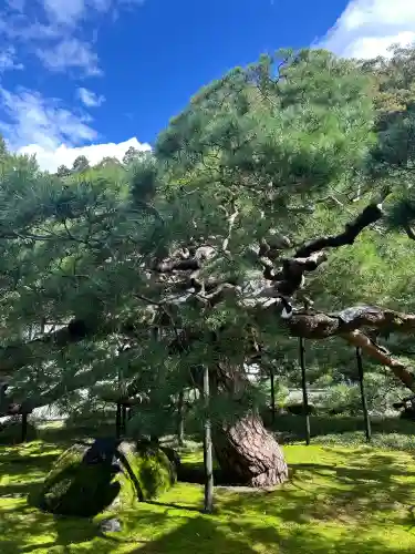慈雲寺(長野県)