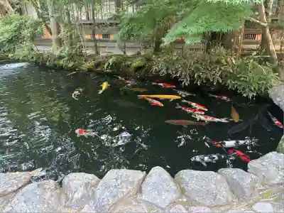 伊勢神宮内宮（皇大神宮）(三重県)