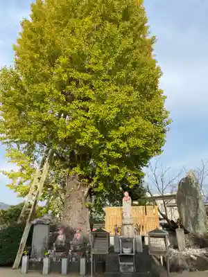 甘露寺(和歌山県)