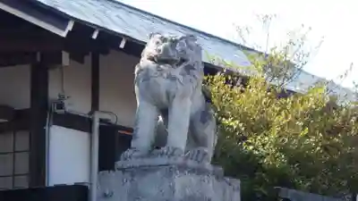 開成山大神宮の狛犬