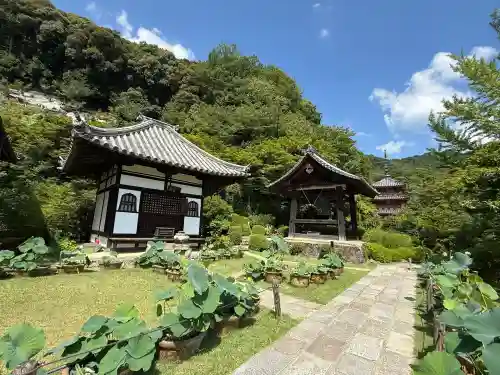 三室戸寺(京都府)