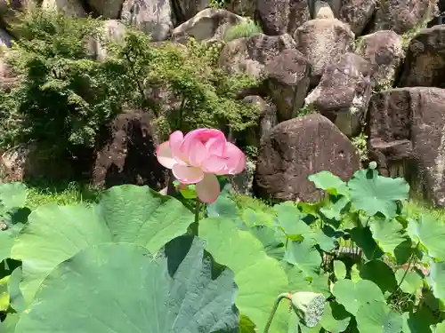 観音正寺(滋賀県)