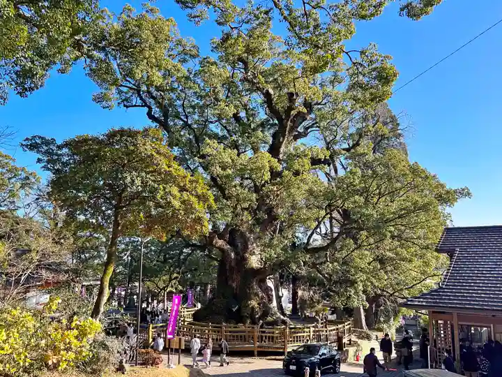蒲生八幡神社(鹿児島県)
