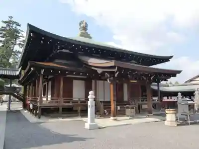 善通寺の本殿・本堂