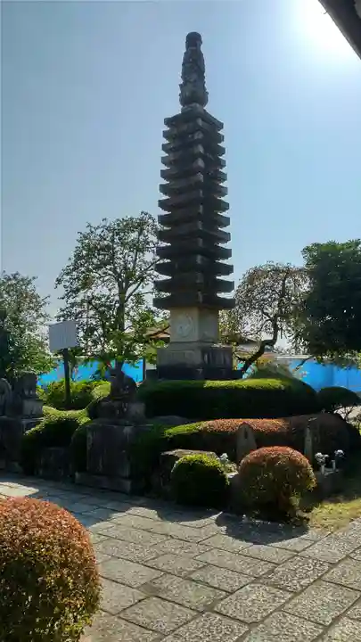 興善寺(埼玉県)