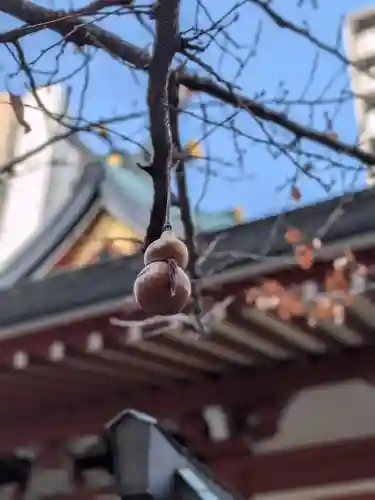 秋葉神社(東京都)